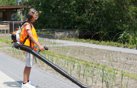 groen voorziening